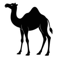 a camel is standing in a black silhouette vector