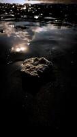 Ocean Rock Glimmering in Shallow Water photo
