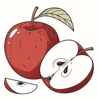 a red apple and a slice of it are shown vector