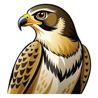 a hawk with a yellow beak and black eyes vector