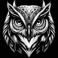 an owl head with large eyes on a black background vector