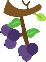 Berries Flat Icon vector