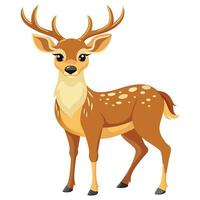 a cartoon deer standing on a white background vector