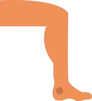 Leg Flat Icon vector