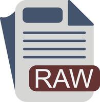 RAW File Format Flat Icon vector