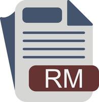 RM File Format Flat Icon vector