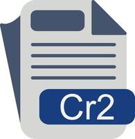 Cr2 File Format Flat Icon vector
