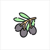 Olive branch with black olives icon illustration vector