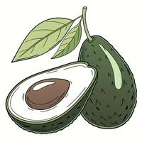 an avocado with leaves and a half cut vector