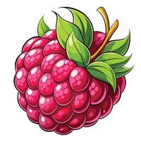 a raspberry is shown with leaves and berries vector