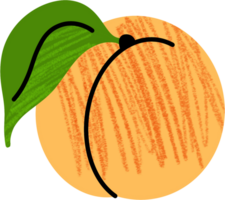 A peach with a leaf on it png