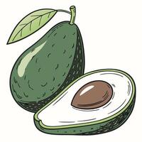 an avocado and a half are shown in this illustration vector