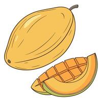 a mango and a slice of fruit vector