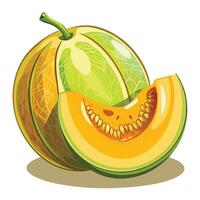 a melon with a slice cut out of it vector