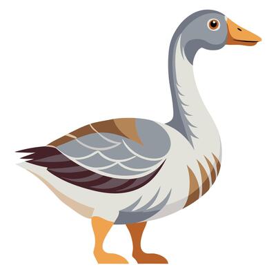 a cartoon duck standing on a white background