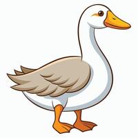 a cartoon duck standing on a white background vector