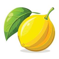 a lemon with a leaf on it vector