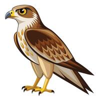 a cartoon bird with a big beak and yellow eyes vector