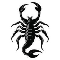 scorpion illustration on white background vector