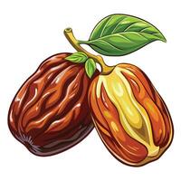 two ripe and brown jacaranda fruits with leaves isolated on white background vector