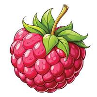 a raspberry is shown with a green leaf vector
