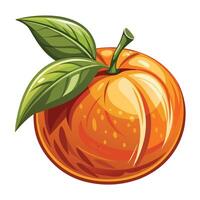 an orange with a leaf on it vector