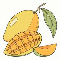 a mango and a slice of fruit are shown vector