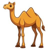 cartoon camel isolated on white background vector