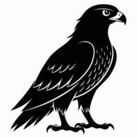 black and white illustration of a hawk vector
