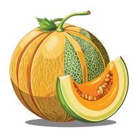 a melon with a slice and a whole vector