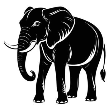 an elephant is standing in front of a white background vector