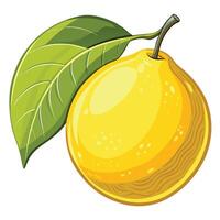 a lemon with a leaf on it vector