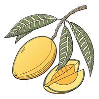a mango with leaves and a half cut vector