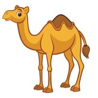 cartoon camel isolated on white background vector