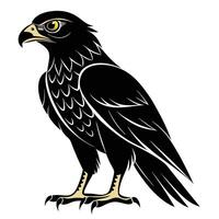 black hawk with yellow eyes on white background vector
