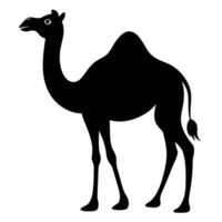 a camel silhouette is shown in black on a white background vector