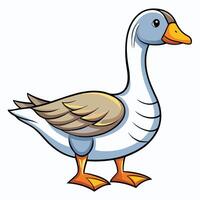 a cartoon goose standing on a white background vector