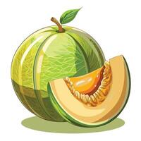 a melon with a slice and a green leaf vector