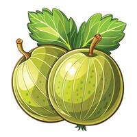 two green apples with leaves on a white background vector