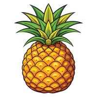 a pineapple is shown on a white background vector