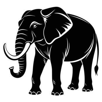 an elephant is standing in front of a white background vector