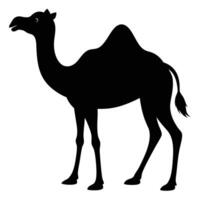 a camel is silhouetted in black on a white background vector