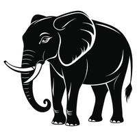 an elephant is standing in front of a white background vector