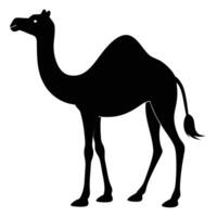 a camel is standing in a black silhouette vector