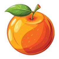 an orange with a leaf on it vector