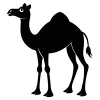 a camel is standing in a black silhouette vector