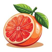 grapefruit with green leaf illustration vector