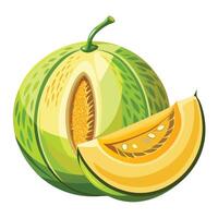 a melon with a slice cut out of it vector