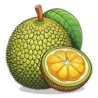 illustration of jackfruit fruit with slice and green leaf vector