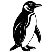 a penguin is standing in front of a white background vector